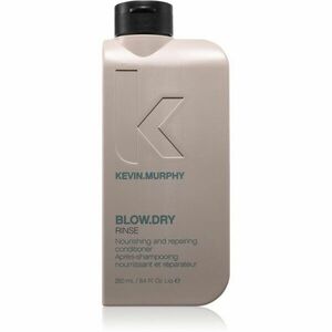 Kevin Murphy Blow.Dry Rinse hloubkově hydratační kondicionér pro všechny typy vlasů 250 ml obraz