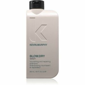 Kevin Murphy Blow.Dry Wash vyživující šampon pro lámavé a namáhané vlasy 250 ml obraz