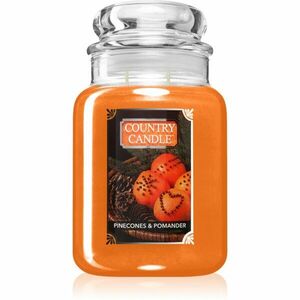 Country Candle Pinecone & Pomander vonná svíčka 737 g obraz