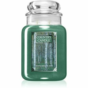 Country Candle White Birch & Rain vonná svíčka 737 g obraz