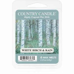 Country Candle White Birch & Rain vosk do aromalampy 64 g obraz