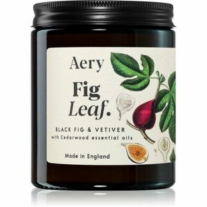 Aery Fig Leaf Black Fig Vetiver vonná svíčka 140 g obraz