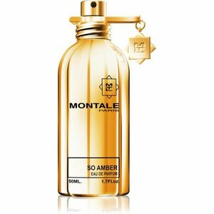 Montale So Amber parfémovaná voda unisex 50 ml obraz