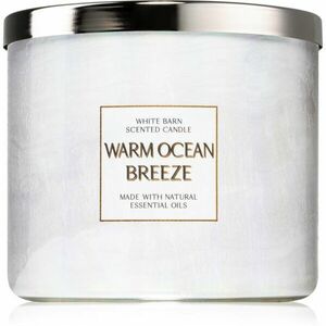 Bath & Body Works Ocean vonná svíčka 411 g obraz