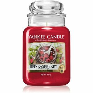 Yankee Candle Red Raspberry vonná svíčka 623 g obraz