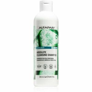 Alfaparf Milano Hair & Body Aloe Vera čisticí šampon na tělo a vlasy 250 ml obraz