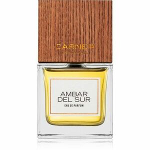 Carner Barcelona Ambar Del Sur parfémovaná voda unisex 100 ml obraz