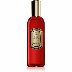 Vila Hermanos Winter Solstice bytový sprej 100 ml obraz