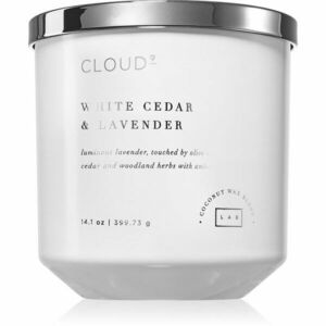 DW Home Cloud 9 White Cedar & Lavender vonná svíčka 400 g obraz