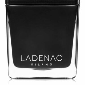 Ladenac Minimal Marine Fraiche Boisée vonná svíčka 200 g obraz