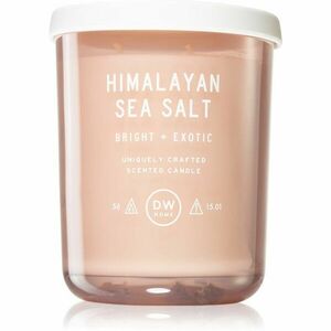 DW Home Text Himalayan Sea Salt vonná svíčka 425 g obraz