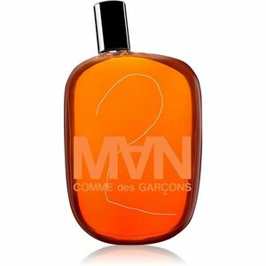 Comme des Garçons 2 Man toaletní voda pro muže 100 ml obraz