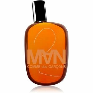 Comme des Garçons 2 Man toaletní voda pro muže 50 ml obraz