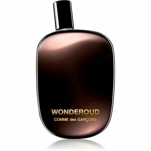 Comme des Garçons Wonderoud parfémovaná voda unisex 100 ml obraz