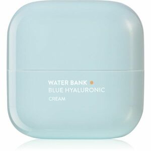 LANEIGE Water Bank Blue Hyaluronic hydratační pleťový krém 50 ml obraz