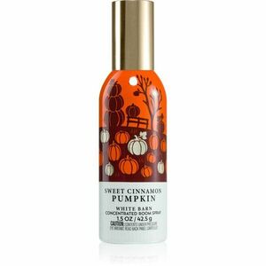 Bath & Body Works Sweet Cinnamon Pumpkin bytový sprej 42.5 g obraz