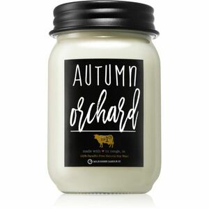 Milkhouse Candle Co. Farmhouse Autumn Orchard vonná svíčka Mason Jar 369 g obraz