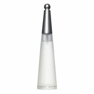 Issey Miyake L´Eau D´Issey Parfémovaná voda 75ml náplň obraz