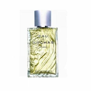 ROCHAS Eau de Rochas Homme – Toaletní voda pro muže 100 ml obraz