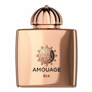 AMOUAGE Dia pour Femme Parfémovaná voda pro ženy 100 ml obraz