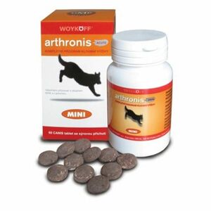 WOYKOFF Arthronis Acute mini 60 tablet obraz