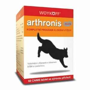 WOYKOFF Arthronis Acute 60 tablet obraz