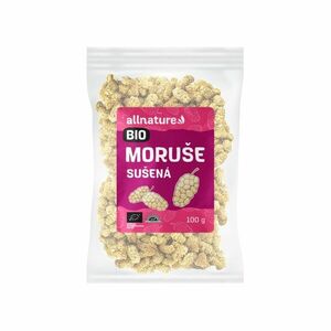 Allnature Moruše bílá sušená BIO RAW plody 100 g obraz