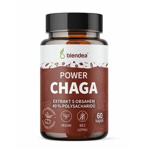 Blendea Power Chaga 60 kapslí obraz