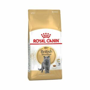 Royal Canin British shorthair granule 10 kg obraz