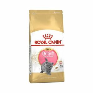 Royal Canin British shorthair kitten granule 10 kg obraz