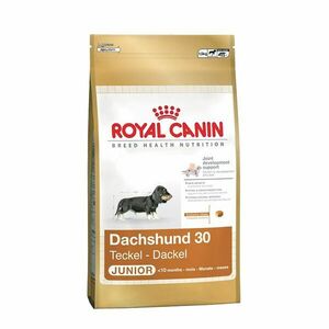 Royal Canin Jezevčík junior granule 1, 5 kg obraz