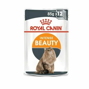 Royal Canin Intense beauty ve šťávě kapsička 12x85 g obraz