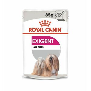 Royal Canin Wet exigent kapsička 12x85 g obraz