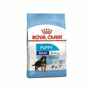 Royal Canin Maxi puppy granule 4 kg obraz