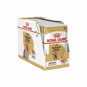 Royal Canin Yorkshire kapsička 12x85 g obraz