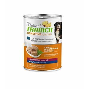 Natural Trainer No gluten medium/maxi pstruh konzerva 400 g obraz