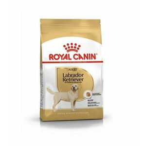 Royal Canin Labrador retriever granule 12 kg obraz