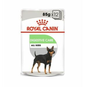 Royal Canin Wet digestive care kapsička 12x85 g obraz