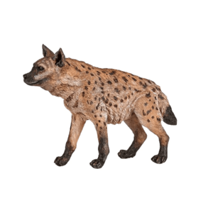 Hyena skvrnitá obraz