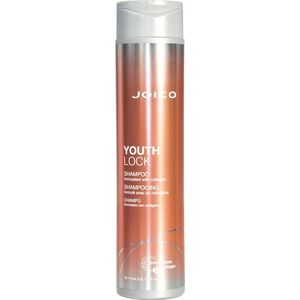 Joico Šampon pro unavené a poškozené vlasy YouthLock (Shampoo) 300 ml obraz