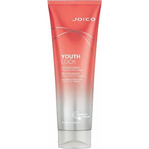 Joico Kondicionér pro zralé vlasy YouthLock (Conditioner) 250 ml obraz