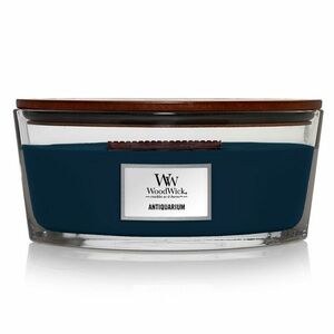 WoodWick Vonná svíčka loď Antiquarium 453, 6 g obraz