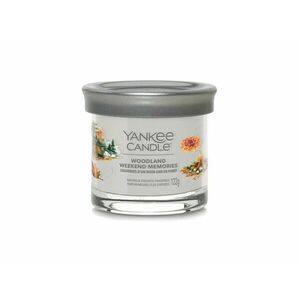 Yankee Candle Aromatická svíčka Signature tumbler malý Woodland Weekend Memories 122 g obraz