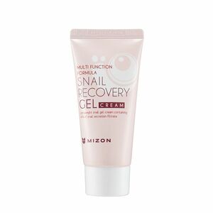 Mizon Pleťový gel s filtrátem hlemýždího sekretu 80% pro problematickou pleť (Snail Recovery Gel Cream) 45 ml obraz