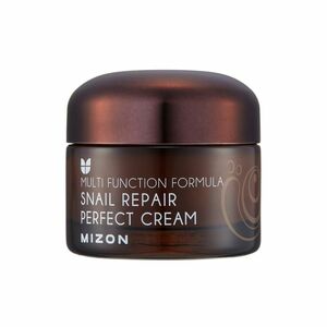 Mizon Pleťový krém s filtrátem hlemýždího sekretu 60% pro problematickou pleť (Snail Repair Perfect Cream) 50 ml obraz