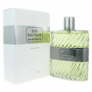 Dior Eau Sauvage - EDT 100 ml obraz