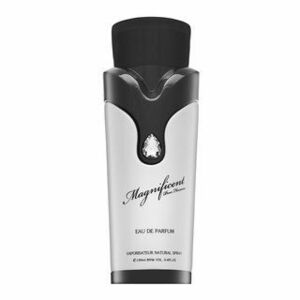 Armaf Magnificent Pour Homme parfémovaná voda pro muže 100 ml obraz