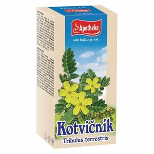 APOTHEKE Kotvičník zemní 20x1.5g obraz