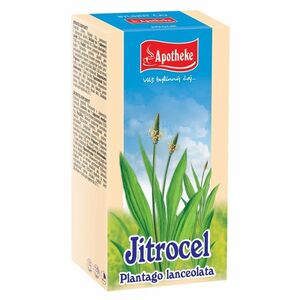 APOTHEKE Jitrocel čaj 20x1.5g obraz