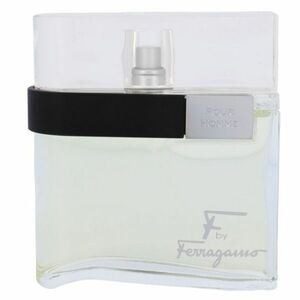 Salvatore Ferragamo F Toaletní voda 100ml obraz